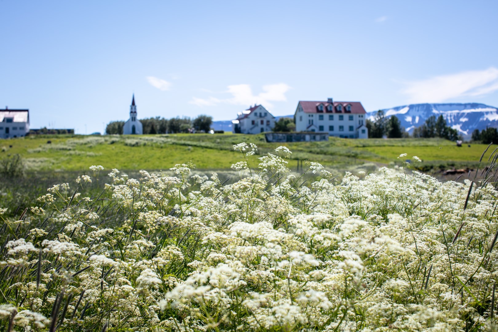 Featured image for “Vorverkin kalla í Borgarbyggð”