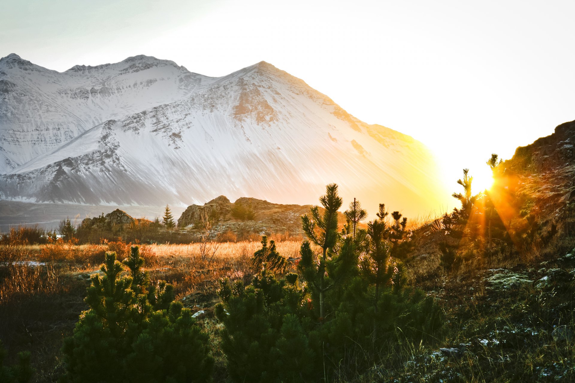 Featured image for “Laus störf í Borgarbyggð”