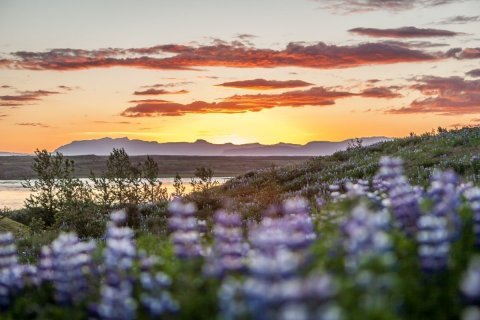 Featured image for “Menningarsjóður Borgarbyggðar auglýsir eftir umsóknum”