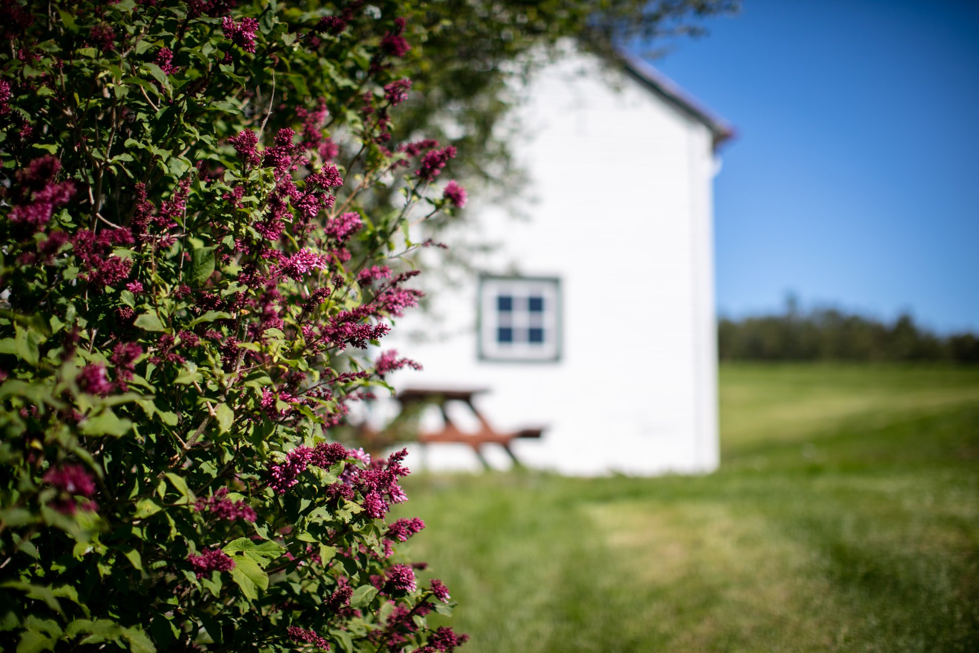 Featured image for “Aðgerðir sem taka í gildi frá og með 15. apríl vegna Covid-19”