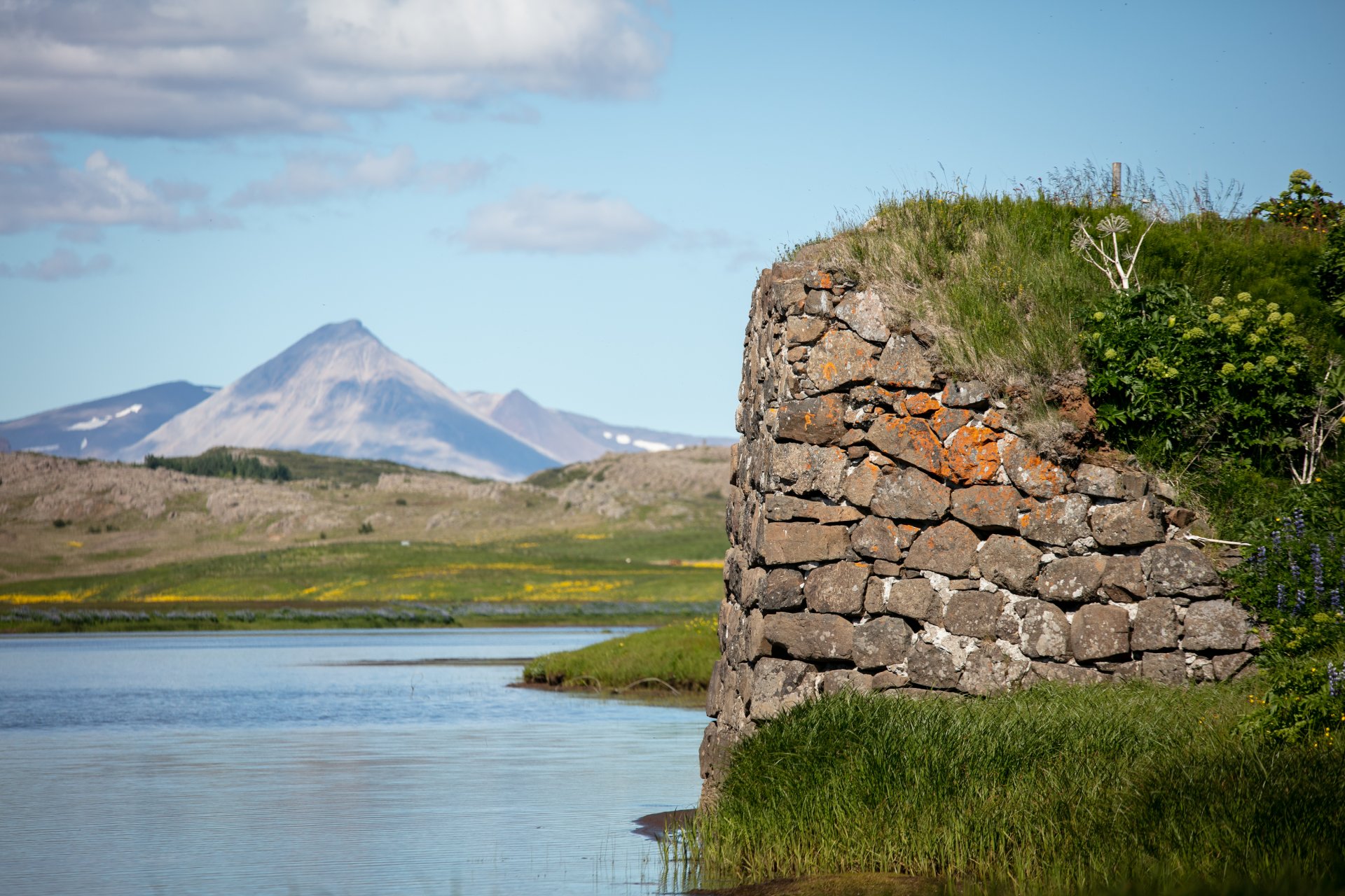Featured image for “Gróðurúrgangur á víðavangi”