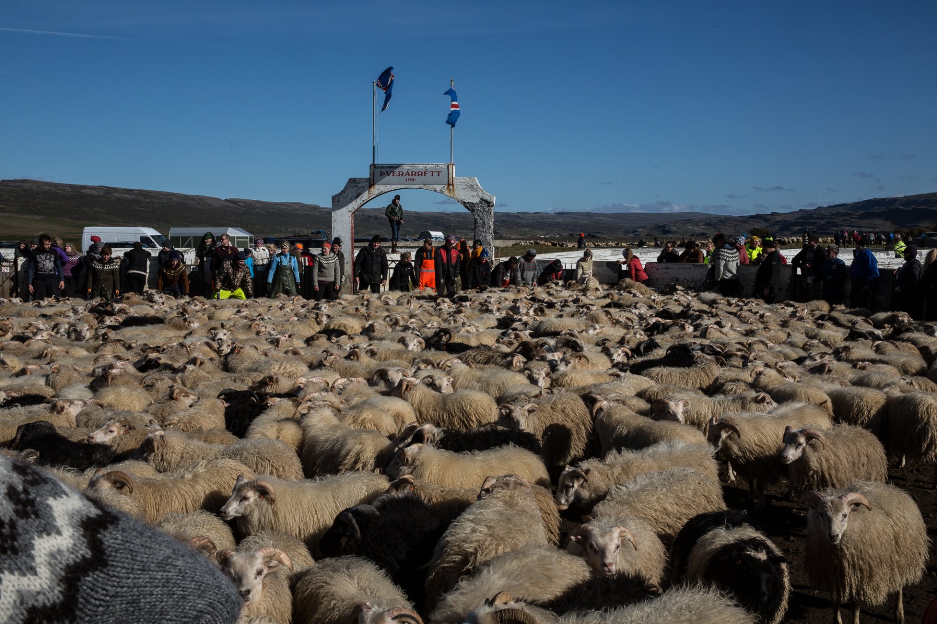 Featured image for “Leiðbeiningar um COVID-19 smitvarnir vegna gangna og rétta”