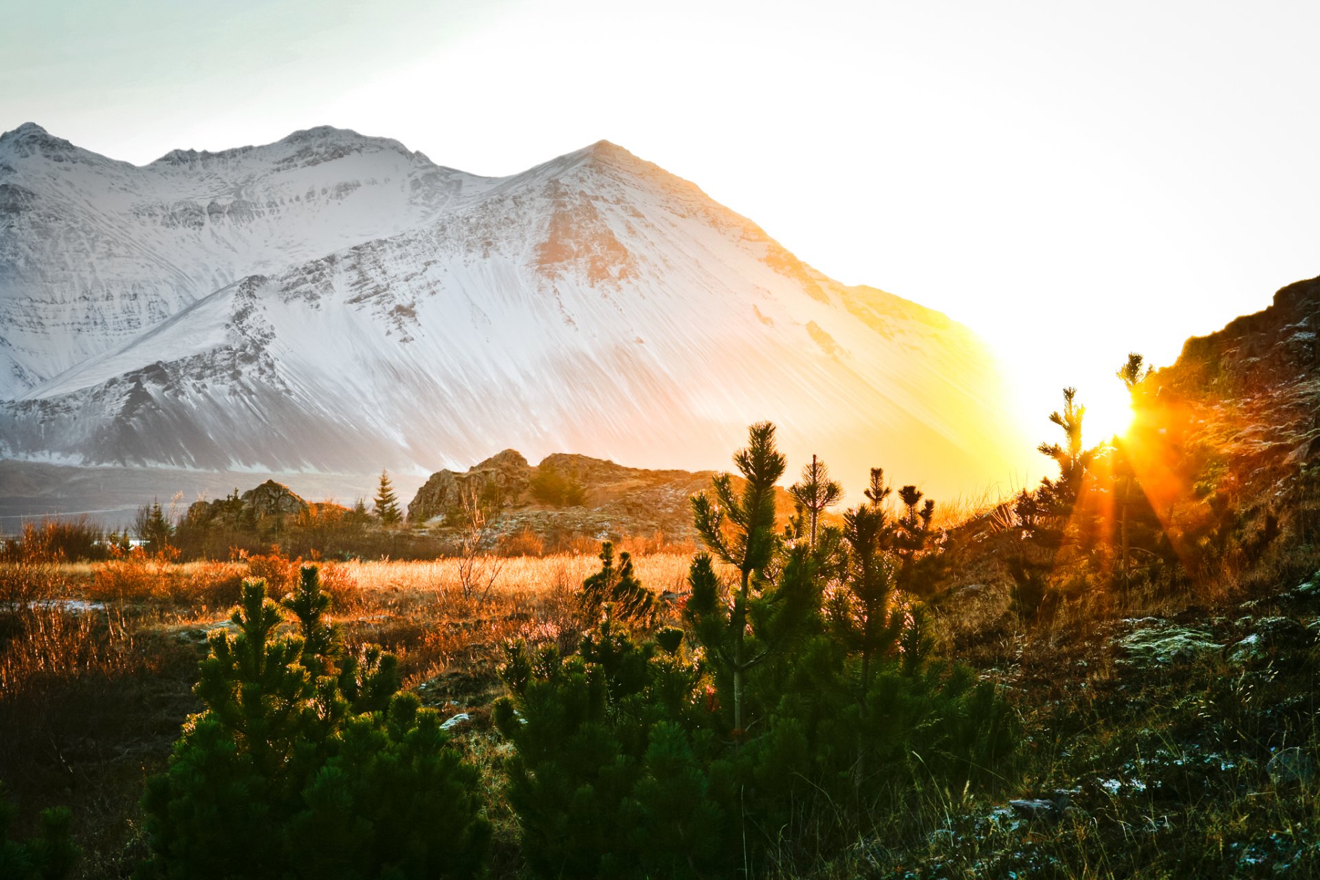 Featured image for “Laust starf stuðningsfulltrúa í búsetuþjónustu”