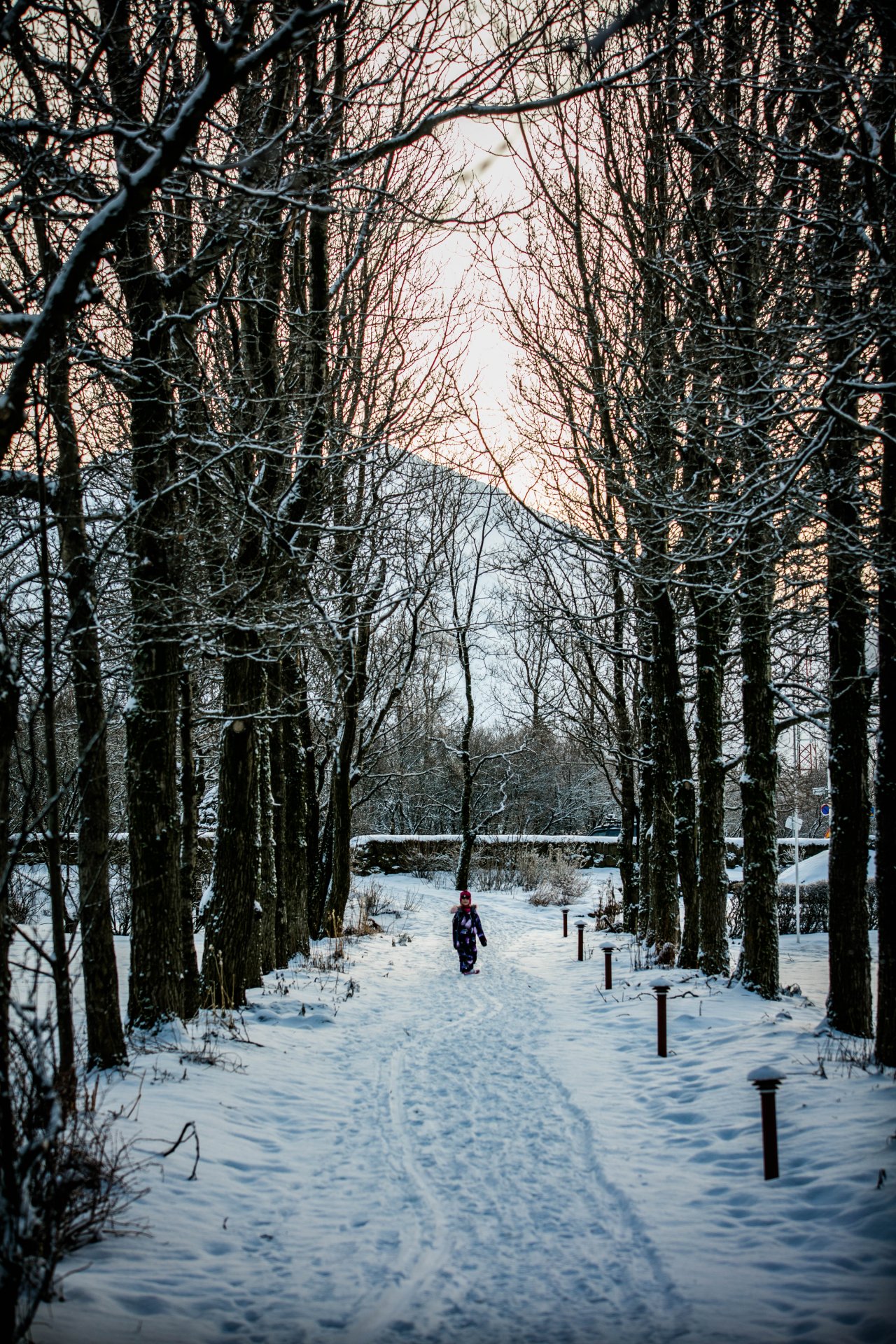 Featured image for “Auglýst eftir rekstraraðila fyrir Grímshús”