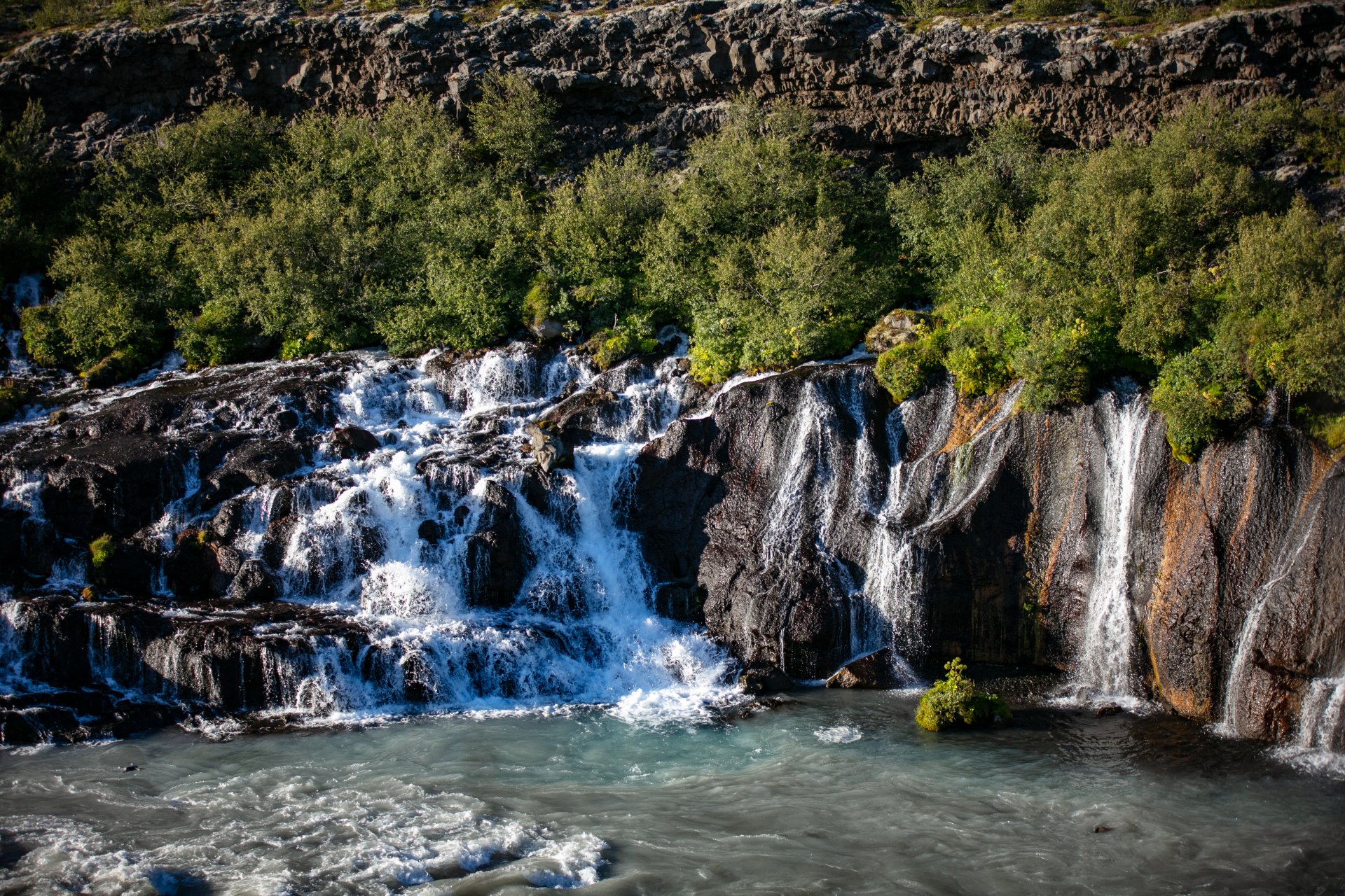 Featured image for “Laust starf þroskaþjálfa”