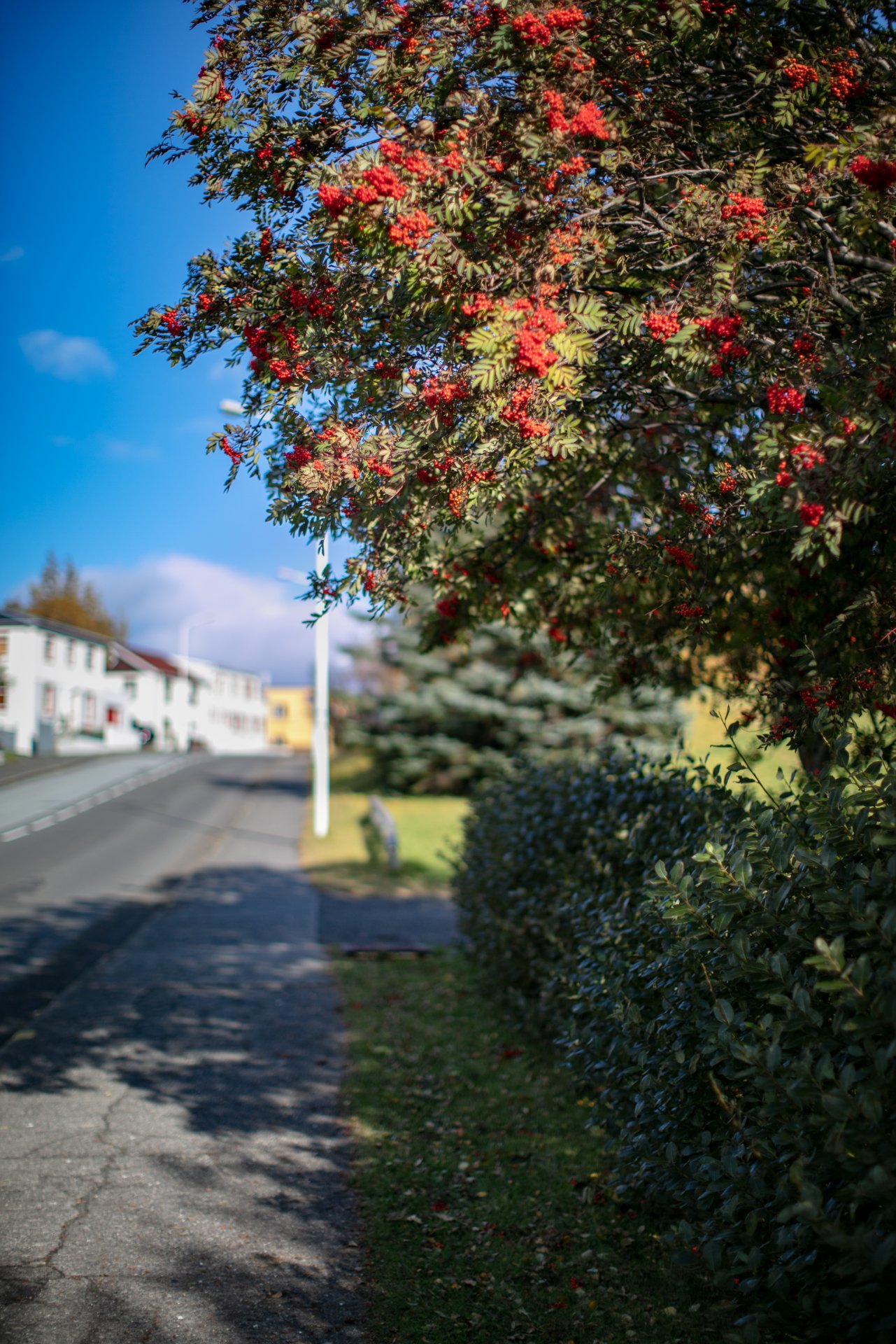 Featured image for “Bakvarðasveit fyrir Búsetuþjónustu Borgarbyggðar”