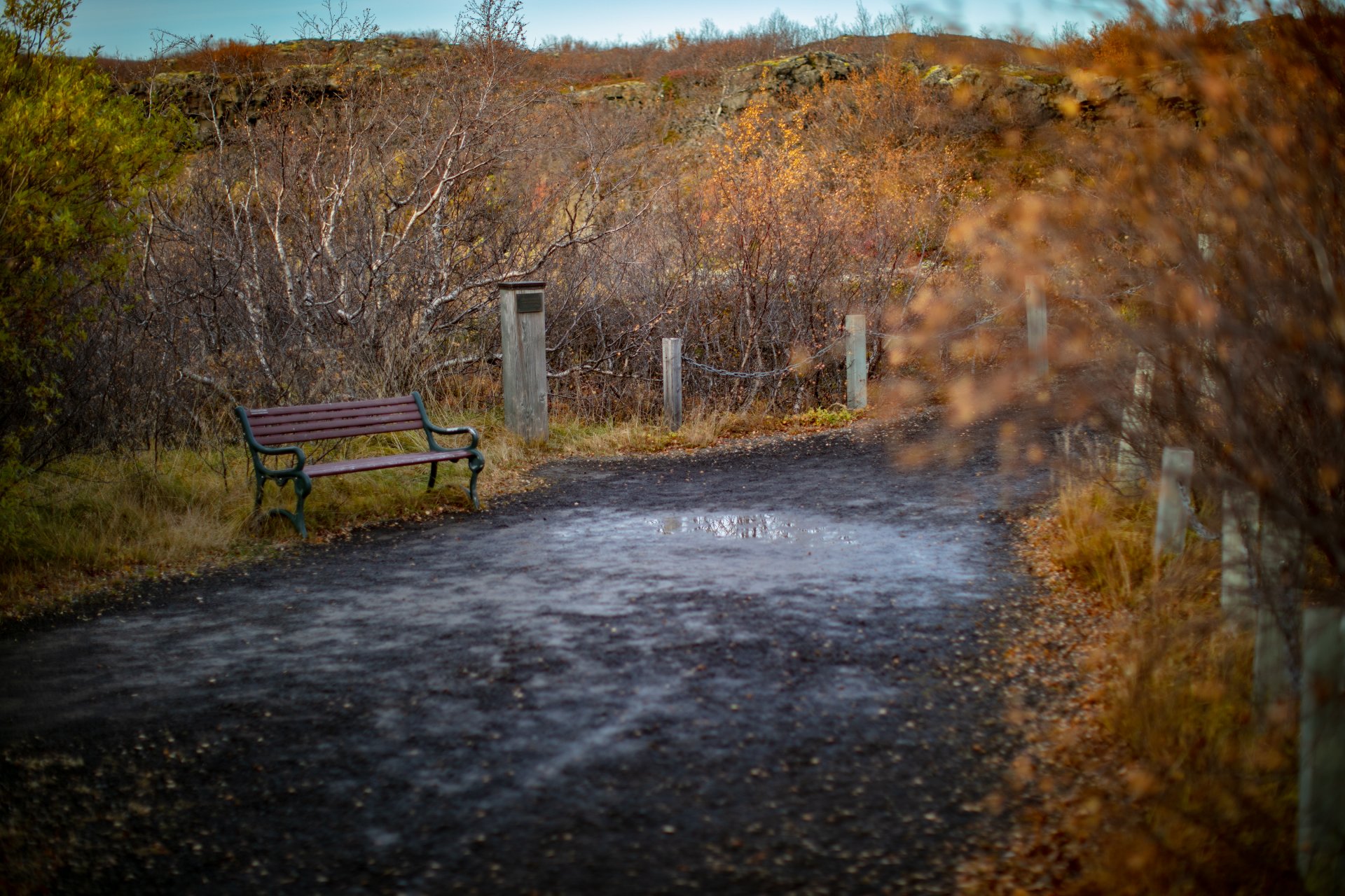 Featured image for “Dósamóttakan lokar kl. 13:30 í dag, 20. desember”