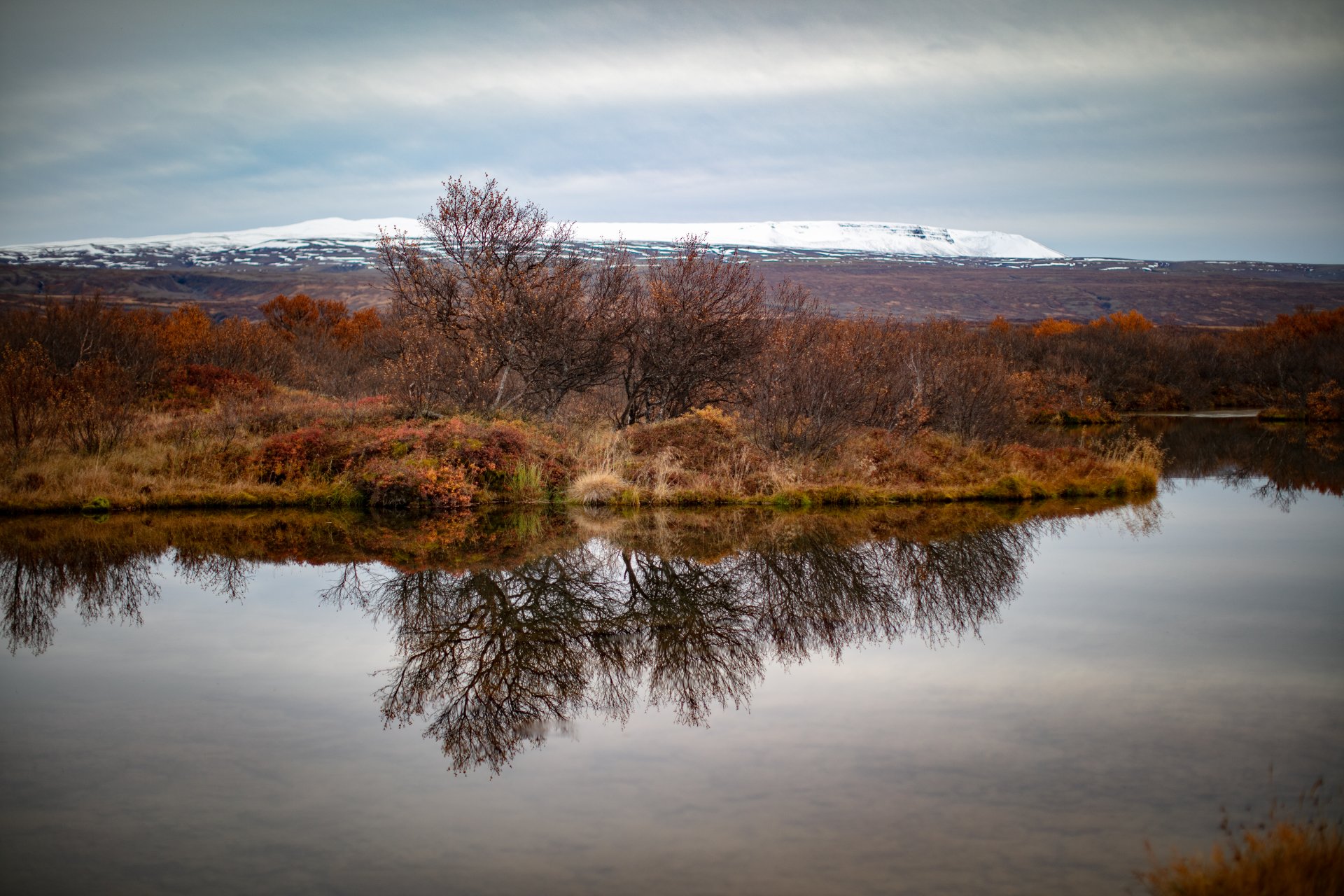 Featured image for “Drífa Gústafsdóttir og Guðný Elíasdóttir ráðnar á stjórnsýslu- og þjónustusvið”