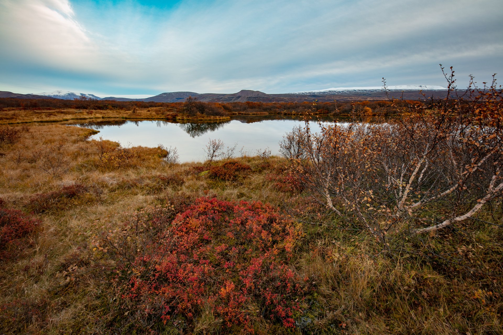 Featured image for “Samþætt leiðakerfi í Borgarbyggð hefst formlega 19. október nk.”