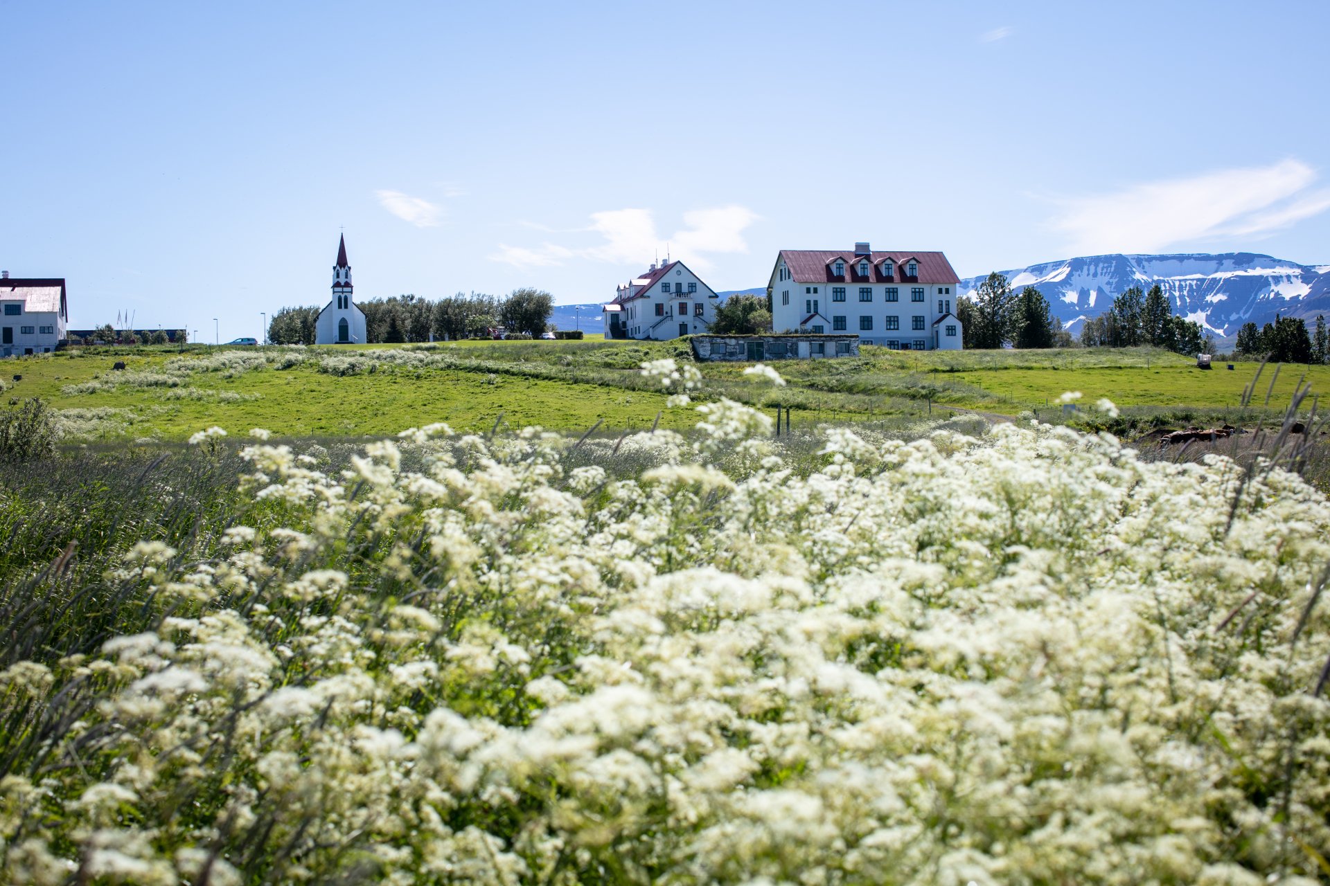 Featured image for “Umhverfisátak í Borgarbyggð haustið 2021”