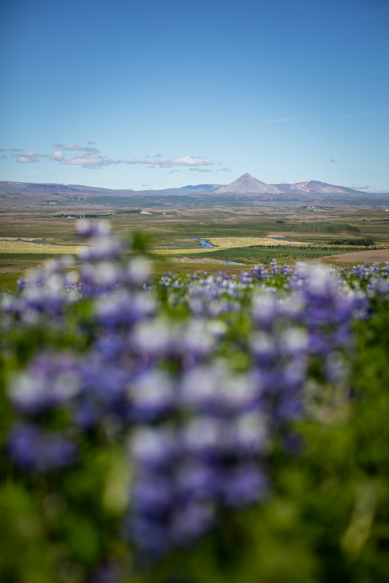 Featured image for “Nú er hægt að sækja um sorpílát á heimasíðu Borgarbyggðar”