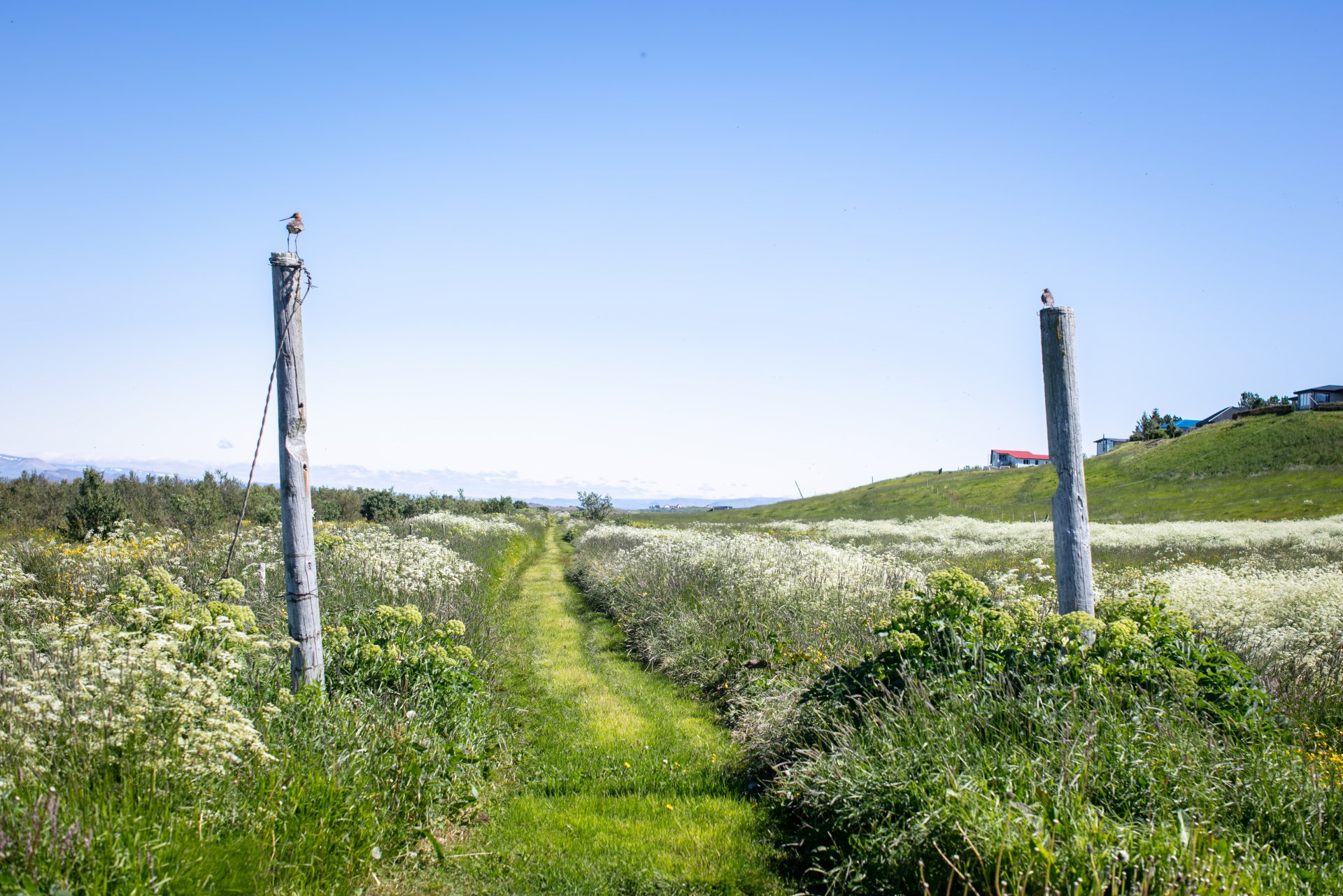 Featured image for “Umhverfisviðurkenningar – Tilnefningar skulu berast fyrir 31. ágúst”