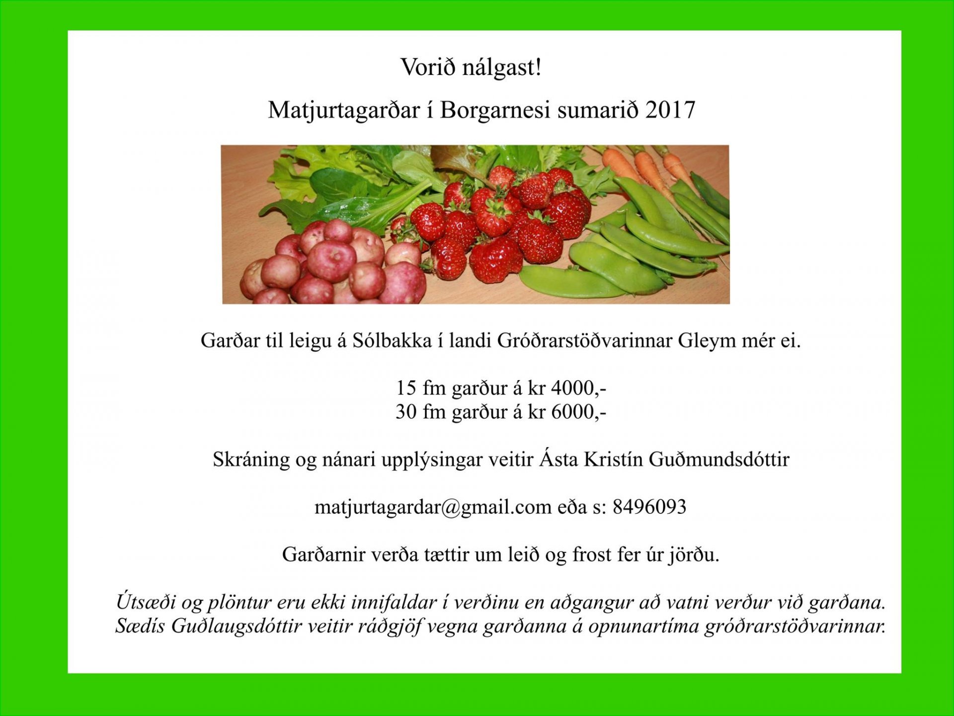 Featured image for “Matjurtagarðar 2017”