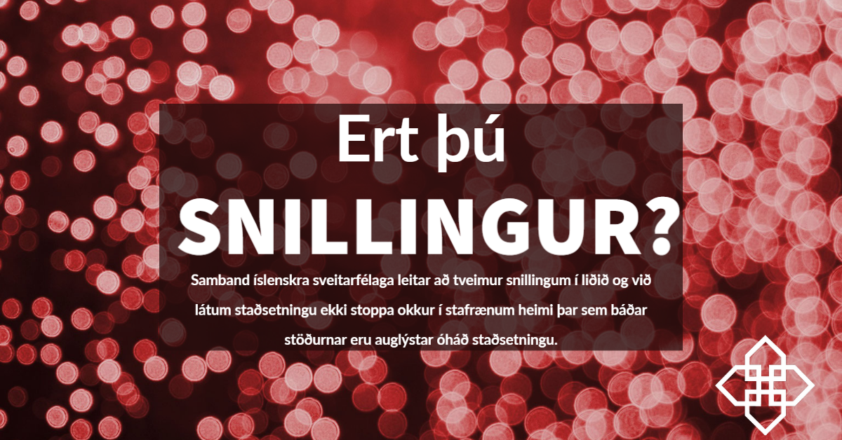 Featured image for “Störf óháð staðsetningu – ert þú snillingur?”