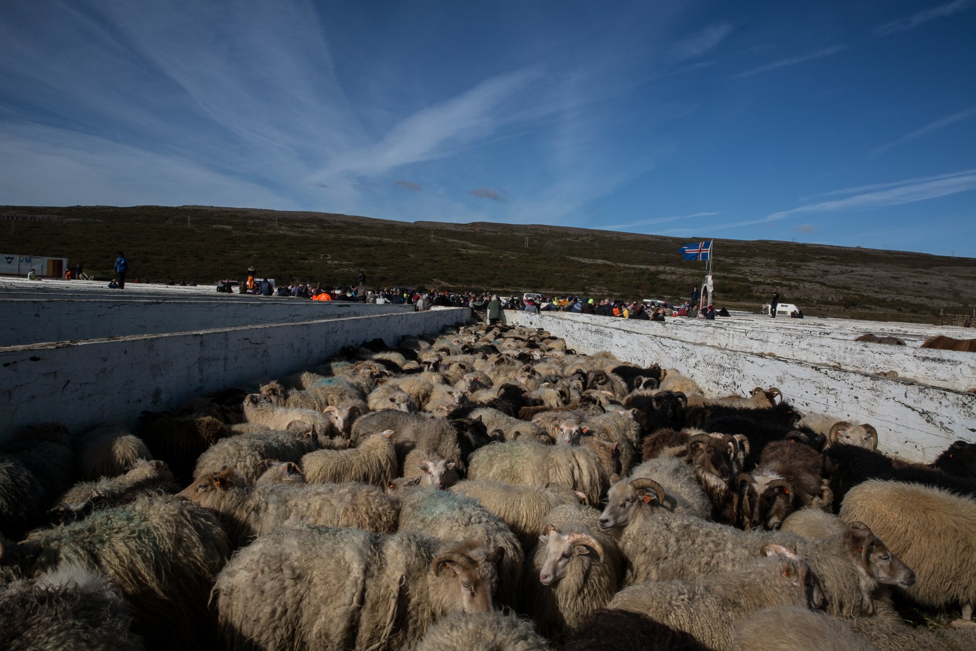 Featured image for “Fjárréttir í Borgarbyggð haustið 2021”