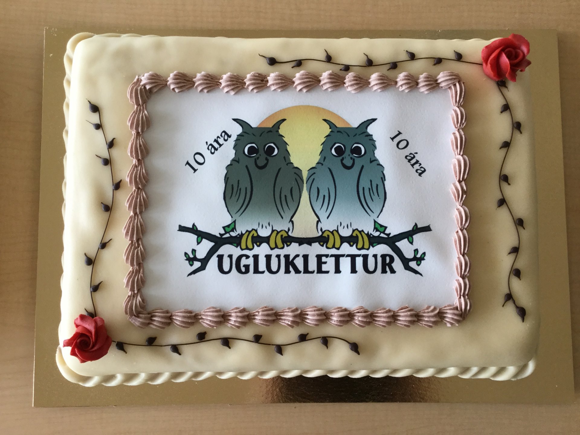 Featured image for “Ugluklettur 10 ára”