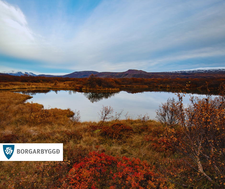 Featured image for “Umhirða og staðsetning íláta”